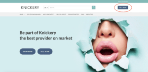 SellerGuide1