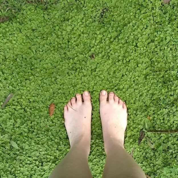 FaeFeet